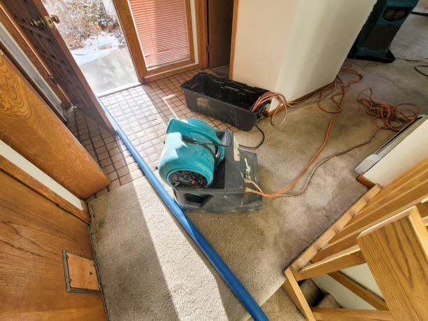 Best Water damage restoration specialists  in South Whittier, CA