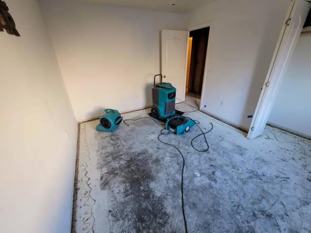 Best Fire Damage Restoration  in South Whittier, CA