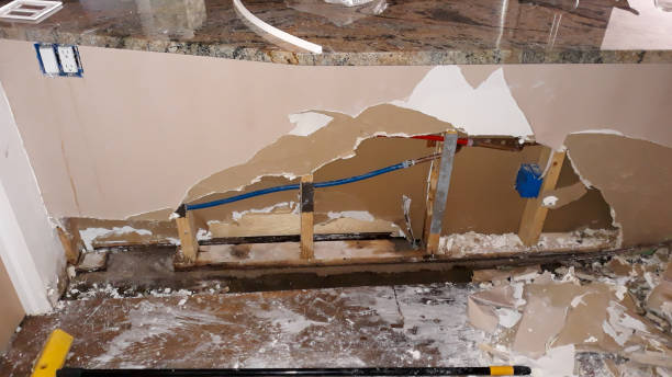 Best Water damage cleanup near me  in South Whittier, CA