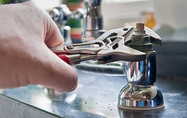 Best Professional water damage repair  in South Whittier, CA