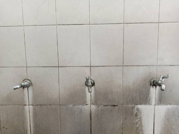 Best Basement water damage restoration  in South Whittier, CA