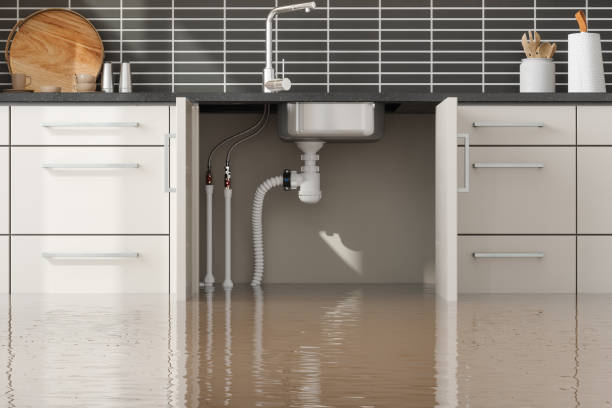 Best Fire Damage Restoration  in South Whittier, CA