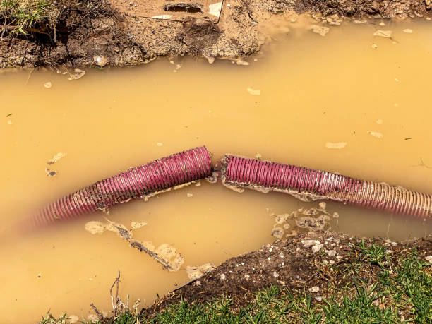 Best Emergency water damage restoration  in South Whittier, CA