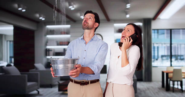 Best Flood restoration services  in South Whittier, CA