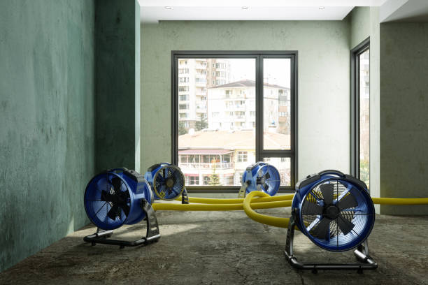 Best Water damage restoration near me  in South Whittier, CA